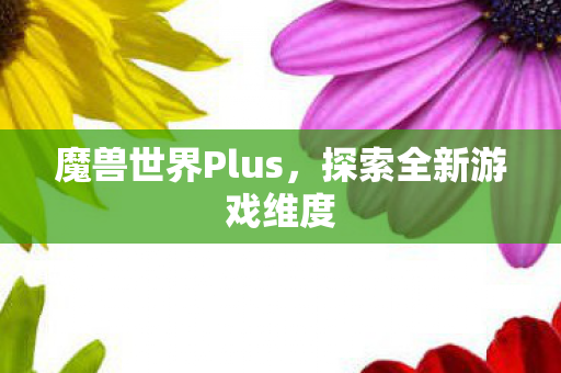 魔兽世界Plus，探索全新游戏维度
