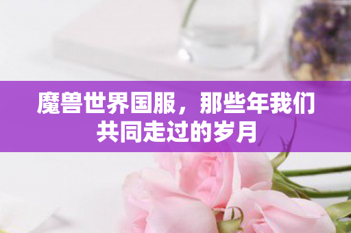 魔兽世界国服，那些年我们共同走过的岁月