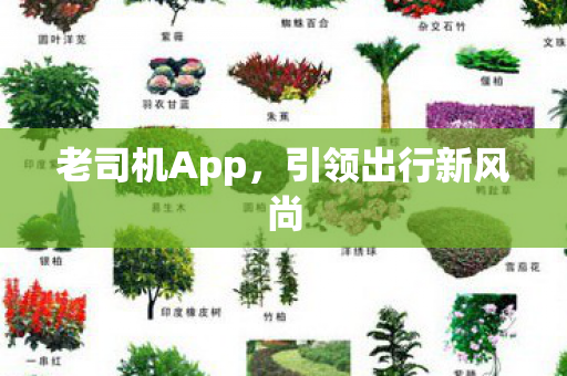 老司机App，引领出行新风尚