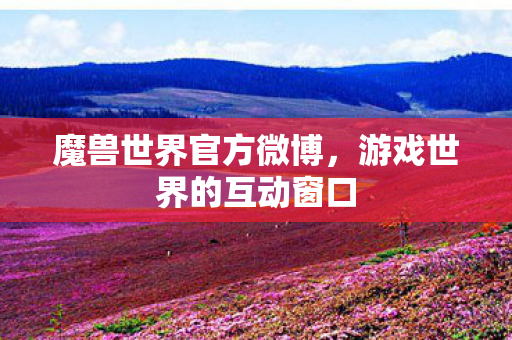 魔兽世界官方微博，游戏世界的互动窗口