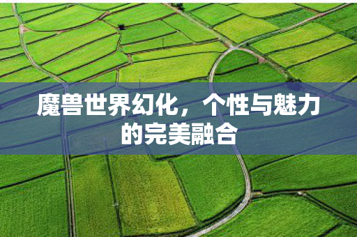 魔兽世界幻化，个性与魅力的完美融合