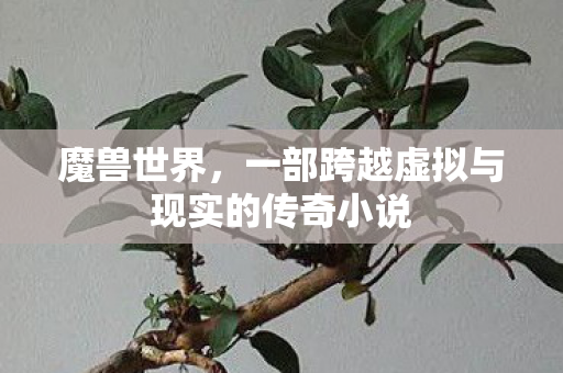 魔兽世界，一部跨越虚拟与现实的传奇小说