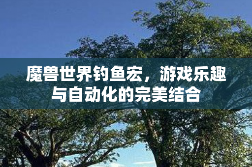魔兽世界钓鱼宏，游戏乐趣与自动化的完美结合