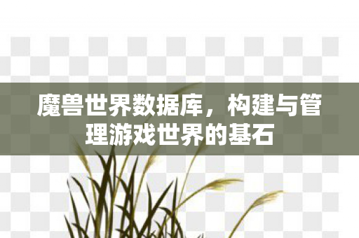 魔兽世界数据库，构建与管理游戏世界的基石