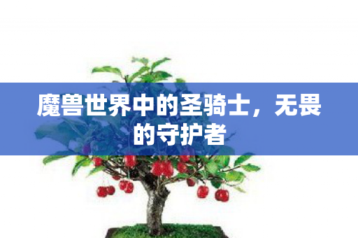 魔兽世界中的圣骑士，无畏的守护者