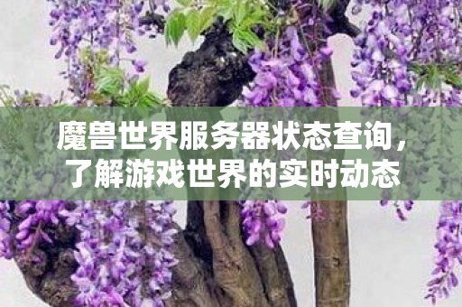 魔兽世界服务器状态查询，了解游戏世界的实时动态