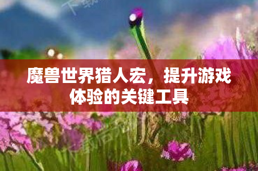 魔兽世界猎人宏，提升游戏体验的关键工具