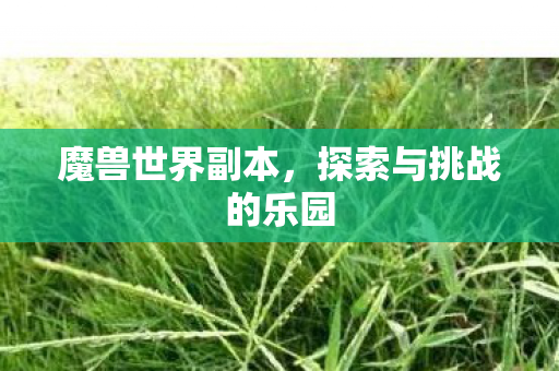 魔兽世界副本，探索与挑战的乐园