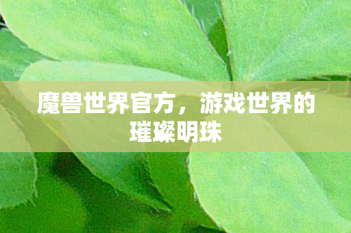 魔兽世界官方，游戏世界的璀璨明珠