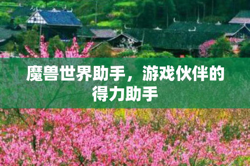 魔兽世界助手,游戏伙伴的得力助手 魔兽世界助手,游戏伙伴的得力助手