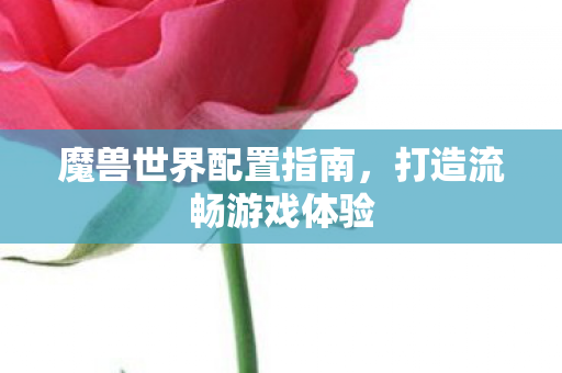 魔兽世界配置指南，打造流畅游戏体验