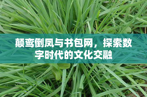 颠鸾倒凤与书包网，探索数字时代的文化交融