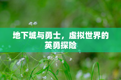地下城与勇士,虚拟世界的英勇探险 地下城与勇士,虚拟世界的英勇探险