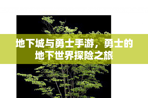 地下城与勇士手游，勇士的地下世界探险之旅