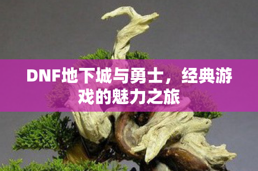 DNF地下城与勇士,经典游戏的魅力之旅 DNF地下城与勇士,经典游戏的魅力之旅
