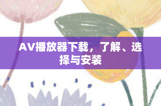 AV播放器下载，了解、选择与安装