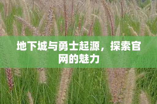 地下城与勇士起源,探索官网的魅力 地下城与勇士起源,探索官网的魅力