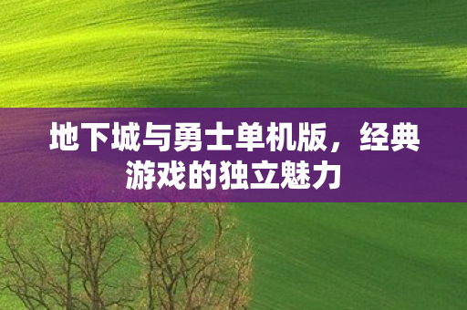 地下城与勇士单机版,经典游戏的独立魅力 地下城与勇士单机版,经典游戏的独立魅力