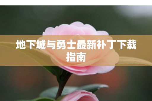 地下城与勇士最新补丁下载指南
