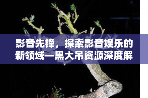 影音先锋，探索影音娱乐的新领域—黑大吊资源深度解析
