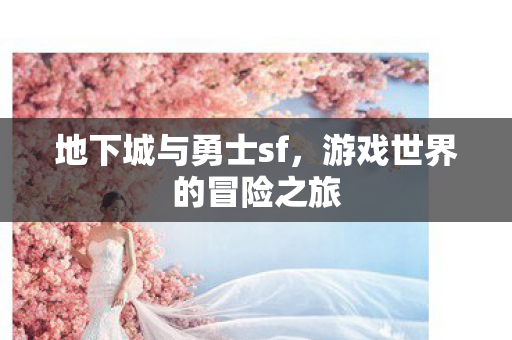 地下城与勇士sf，游戏世界的冒险之旅