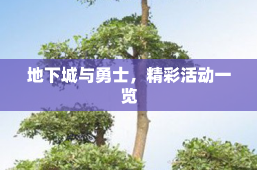 地下城与勇士,精彩活动一览 地下城与勇士,精彩活动一览