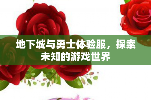 地下城与勇士体验服,探索未知的游戏世界 地下城与勇士体验服,探索未知的游戏世界