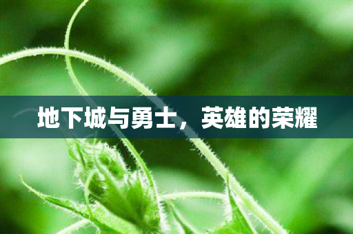 地下城与勇士，英雄的荣耀