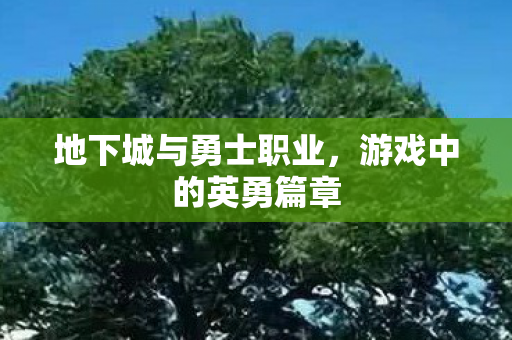 地下城与勇士职业，游戏中的英勇篇章