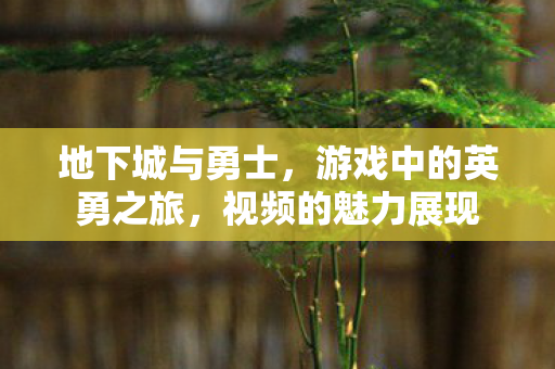 地下城与勇士，游戏中的英勇之旅，视频的魅力展现