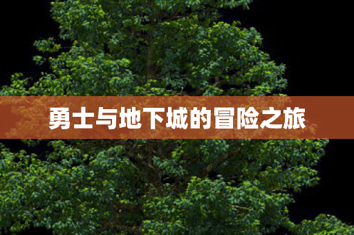 勇士与地下城的冒险之旅