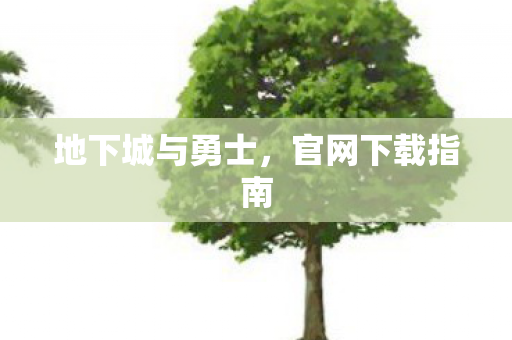 地下城与勇士，官网下载指南