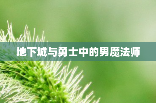 地下城与勇士中的男魔法师 地下城与勇士中的男魔法师