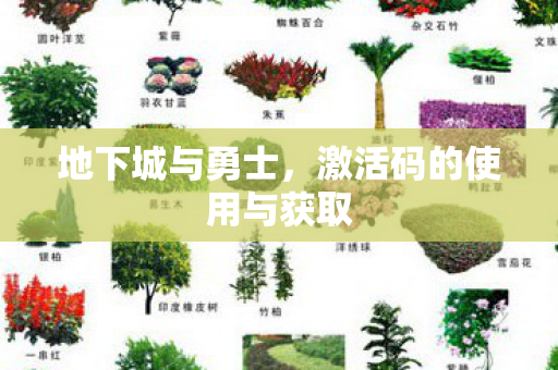 地下城与勇士,激活码的使用与获取 地下城与勇士,激活码的使用与获取