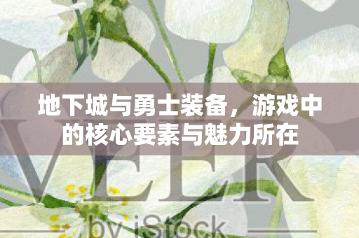 地下城与勇士装备，游戏中的核心要素与魅力所在