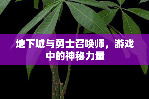 地下城与勇士召唤师，游戏中的神秘力量