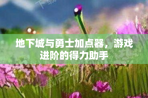 地下城与勇士加点器，游戏进阶的得力助手