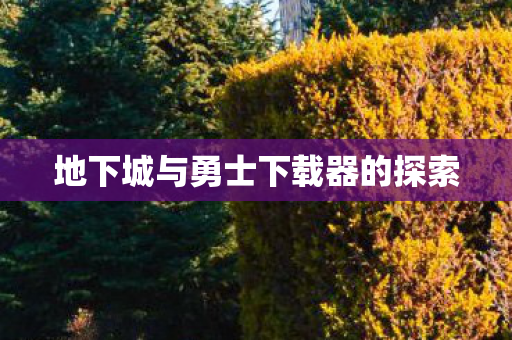 地下城与勇士下载器的探索