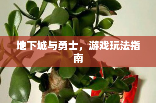 地下城与勇士，游戏玩法指南