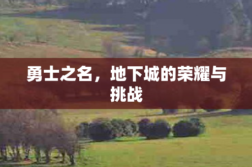 勇士之名，地下城的荣耀与挑战