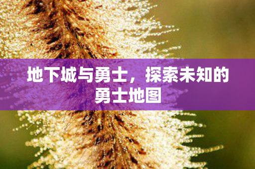 地下城与勇士，探索未知的勇士地图