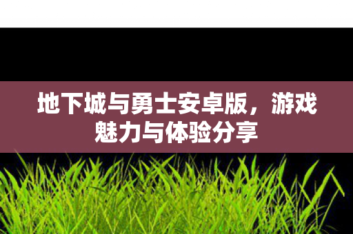 地下城与勇士安卓版，游戏魅力与体验分享