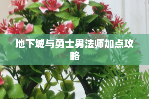 地下城与勇士男法师加点攻略