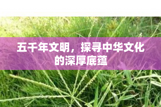 五千年文明，探寻中华文化的深厚底蕴