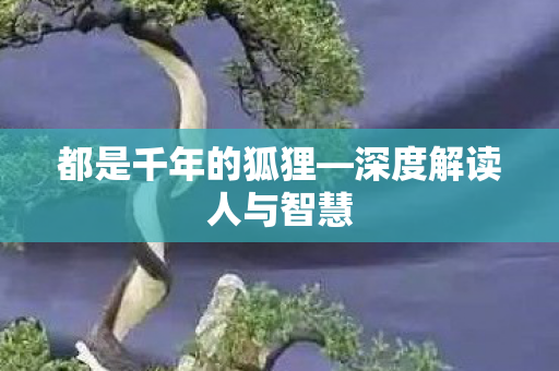 都是千年的狐狸—深度解读人与智慧 都是千年的狐狸—深度解读人与智慧