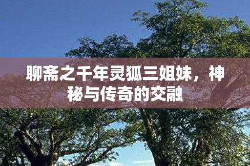 聊斋之千年灵狐三姐妹，神秘与传奇的交融