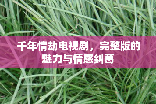 千年情劫电视剧，完整版的魅力与情感纠葛