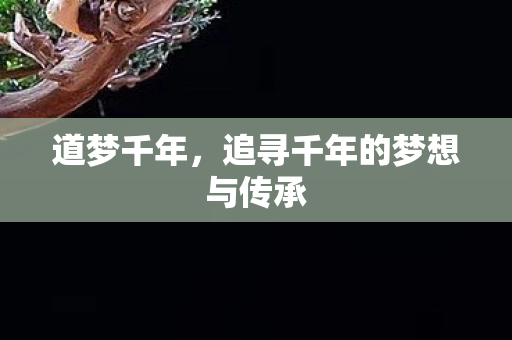 道梦千年，追寻千年的梦想与传承