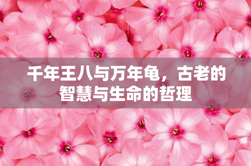 千年王八与万年龟，古老的智慧与生命的哲理