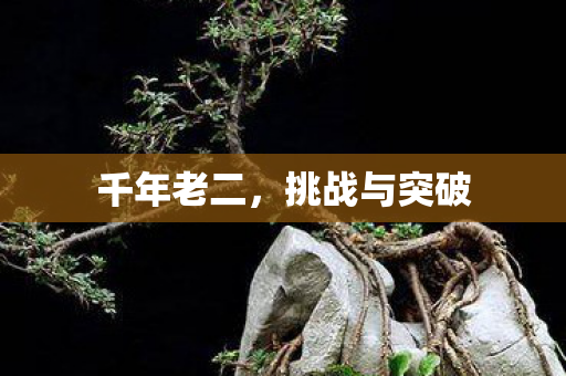 千年老二，挑战与突破
